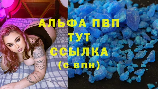крисы Козельск