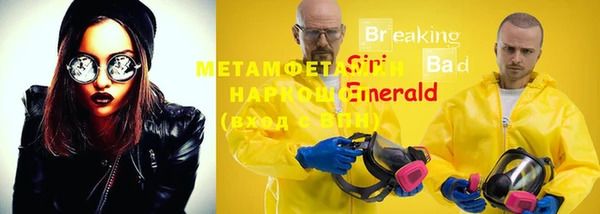 крисы Козельск