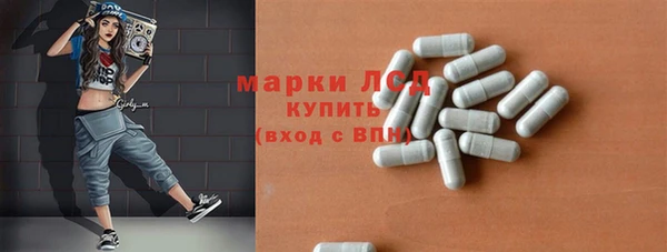 крисы Козельск