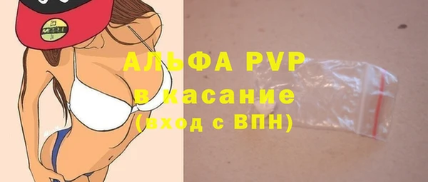 крисы Козельск