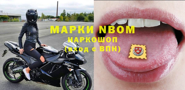 крисы Козельск