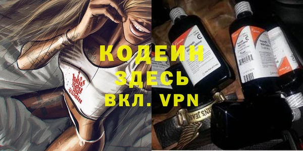 крисы Козельск