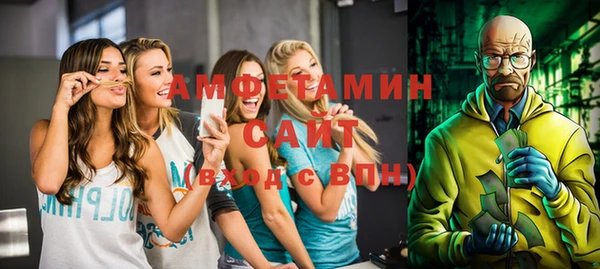 крисы Козельск
