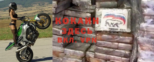 крисы Козельск